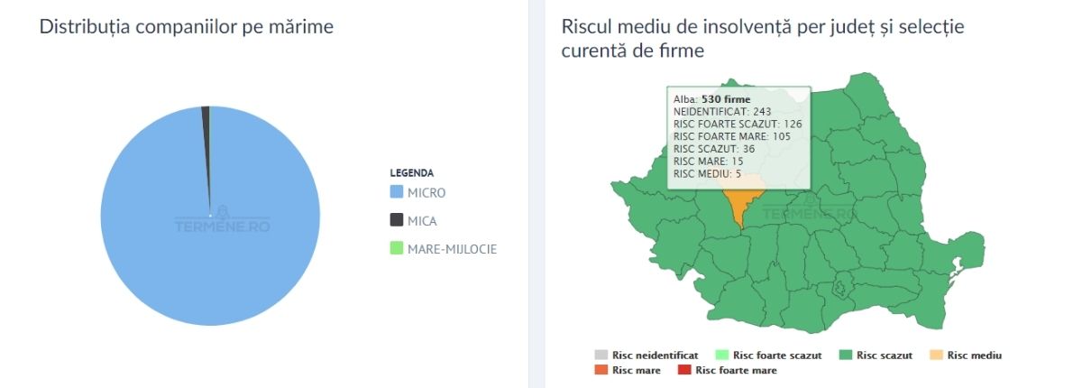 Cod CAEN 7022 - Distribuție pe mărime și risc mediu per județ