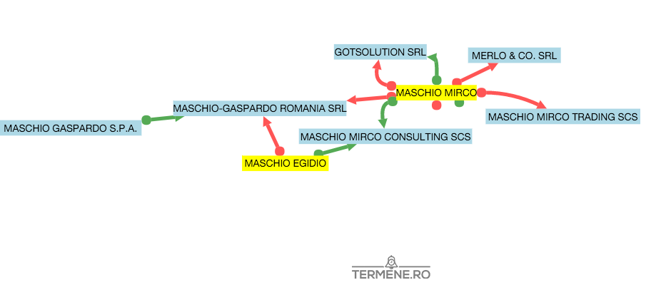 analize termene - Maschio Mirco
