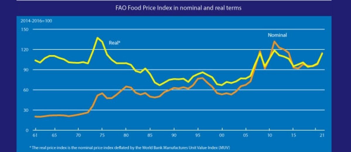 Indicele FAO a atins maximul din 2014