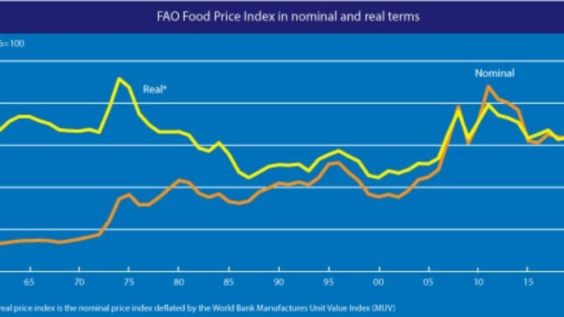 Indicele FAO a atins maximul din 2014