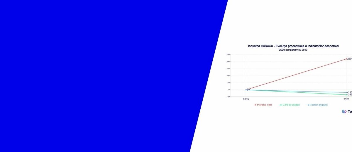 Cifra de afaceri HoReCa 2020