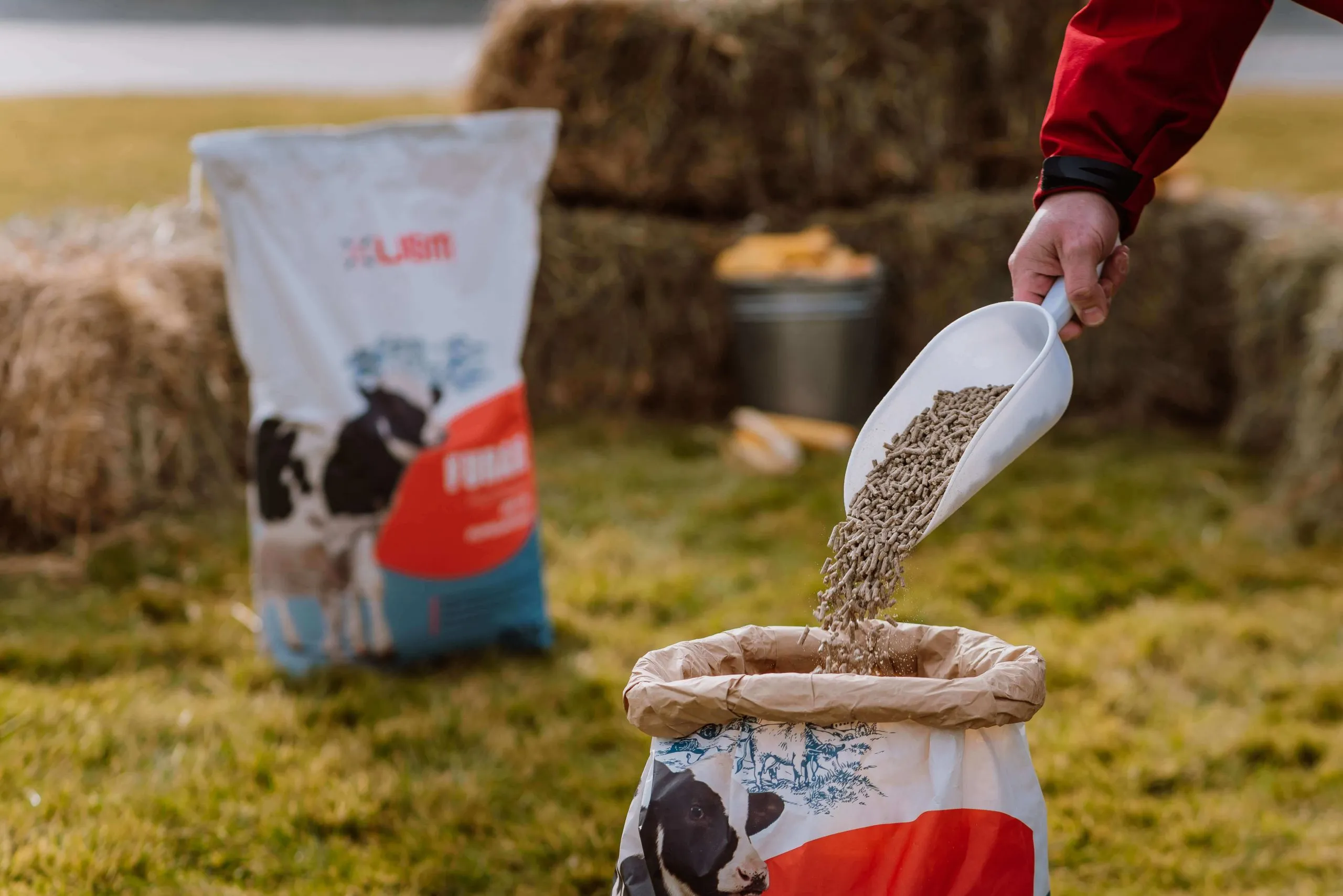 Agrofert și Poultry Investment au preluat UBM Feed România, lider pe piața de furaje | Economica.net