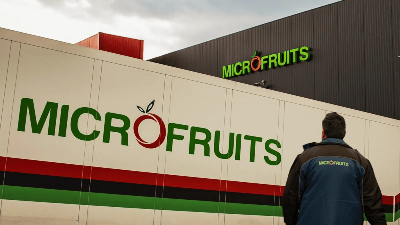 De ce contează | Antreprenorul Adrian Racoviță preia controlul Armătura prin Microfruits. Evoluția afacerilor Microfruits 201
