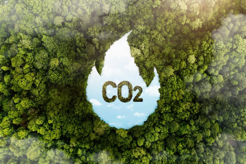 Economica.net |Autorizarea CBAM. Ce trebuie să facă importatorii vizați de taxa pe carbon în 2025 pentru a nu risca blocarea